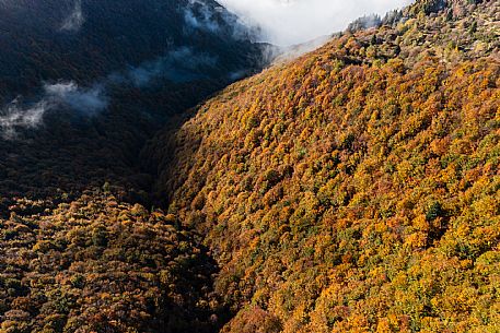 Autumn atmospheres and colours in Piancavallo