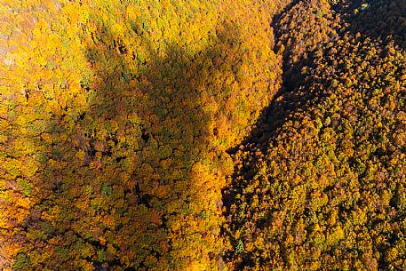 Autumn atmospheres and colours in Piancavallo