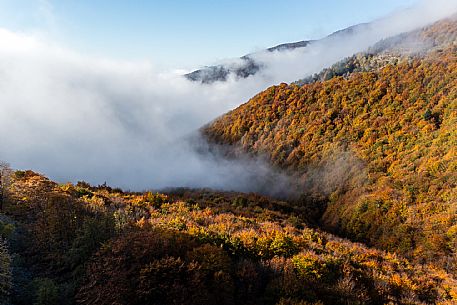 Autumn atmospheres and colours in Piancavallo