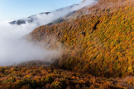 Autumn atmospheres and colours in Piancavallo