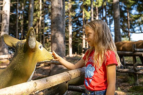 Fun Area dell'Angelo di Tarvisio: for young and old, an area that offers various activities and all within easy reach: zipline, bobsleigh on rails, bike park, animal trail, footpath and park for children