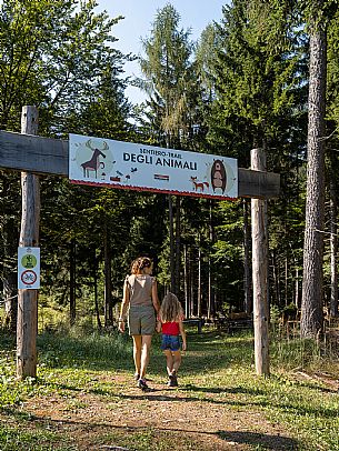 Fun Area dell'Angelo di Tarvisio: for young and old, an area that offers various activities and all within easy reach: zipline, bobsleigh on rails, bike park, animal trail, footpath and park for children