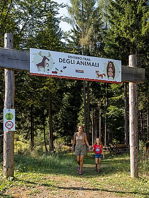 Fun Area dell'Angelo di Tarvisio: for young and old, an area that offers various activities and all within easy reach: zipline, bobsleigh on rails, bike park, animal trail, footpath and park for children