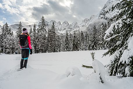 Val Saisera, Snowshoeing, The Forest Sound Track, Valbruna