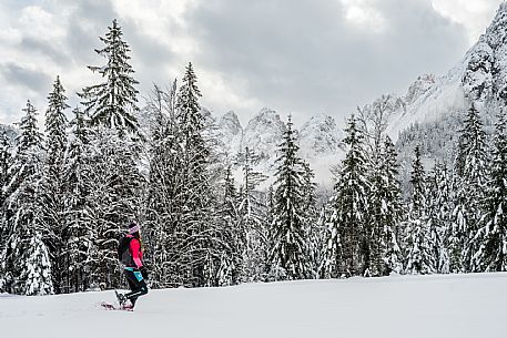 Val Saisera, Snowshoeing, The Forest Sound Track, Valbruna