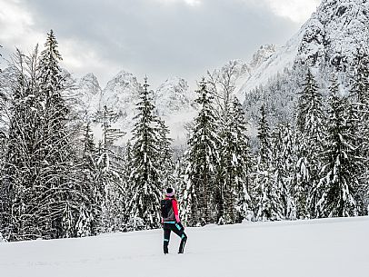 Val Saisera, Snowshoeing, The Forest Sound Track, Valbruna