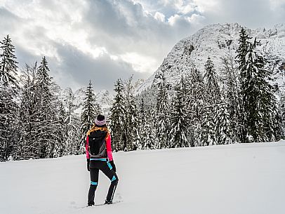 Val Saisera, Snowshoeing, The Forest Sound Track, Valbruna