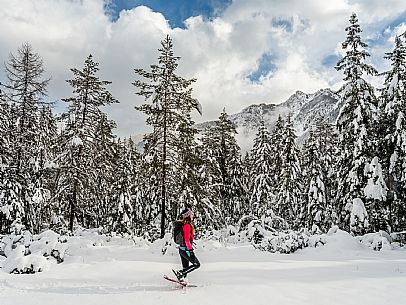 Val Saisera, Snowshoeing, The Forest Sound Track, Valbruna