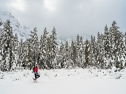 Val Saisera, Snowshoeing, The Forest Sound Track, Valbruna