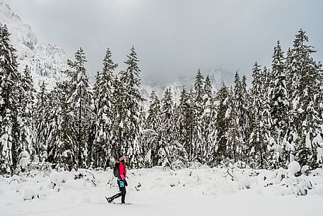 Val Saisera, Snowshoeing, The Forest Sound Track, Valbruna