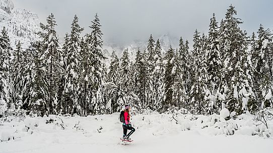 Val Saisera, Snowshoeing, The Forest Sound Track, Valbruna