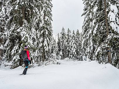 Val Saisera, Snowshoeing, The Forest Sound Track, Valbruna