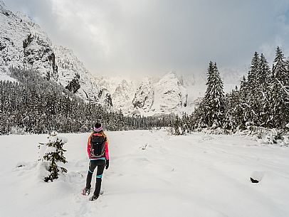 Val Saisera, Snowshoeing, The Forest Sound Track, Valbruna