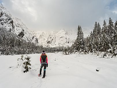 Val Saisera, Snowshoeing, The Forest Sound Track, Valbruna