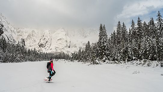 Val Saisera, Snowshoeing, The Forest Sound Track, Valbruna