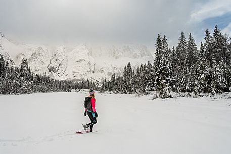 Val Saisera, Snowshoeing, The Forest Sound Track, Valbruna