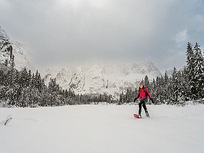 Val Saisera, Snowshoeing, The Forest Sound Track, Valbruna