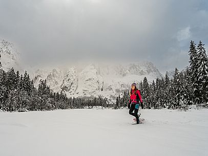 Val Saisera, Snowshoeing, The Forest Sound Track, Valbruna