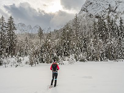 Val Saisera, Snowshoeing, The Forest Sound Track, Valbruna