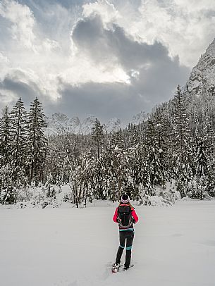 Val Saisera, Snowshoeing, The Forest Sound Track, Valbruna