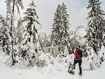 Val Saisera, Snowshoeing, The Forest Sound Track, Valbruna