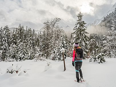 Val Saisera, Snowshoeing, The Forest Sound Track, Valbruna