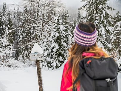 Val Saisera, Snowshoeing, The Forest Sound Track, Valbruna