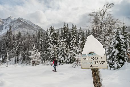 Val Saisera, Snowshoeing, The Forest Sound Track, Valbruna