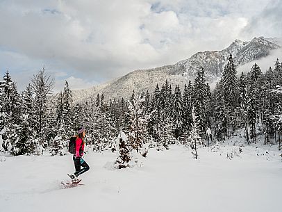 Val Saisera, Snowshoeing, The Forest Sound Track, Valbruna