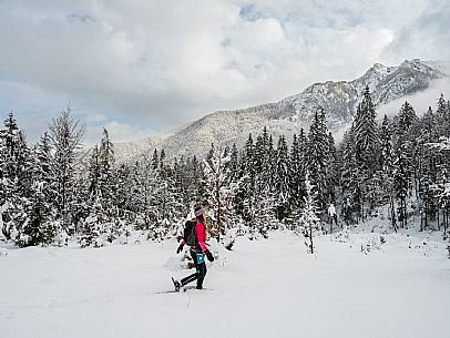 Val Saisera, Snowshoeing, The Forest Sound Track, Valbruna