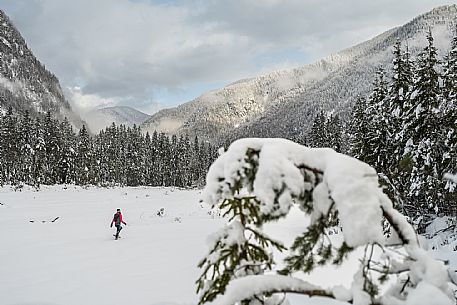 Val Saisera, Snowshoeing, The Forest Sound Track, Valbruna