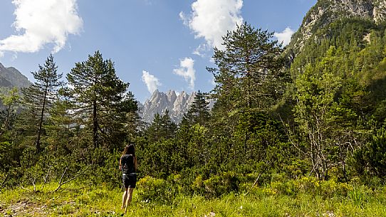 Walking along the fox and bear path in Val Gleris with the majestic Seven Peaks Group in the background, Pontebba Walking along the fox and bear path in Val Gleris with the majestic Seven Peaks Group in the background, Pontebba