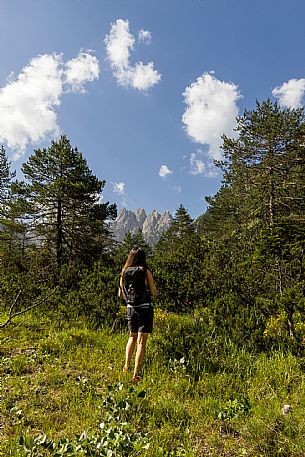 Walking along the fox and bear path in Val Gleris with the majestic Seven Peaks Group in the background, Pontebba Walking along the fox and bear path in Val Gleris with the majestic Seven Peaks Group in the background, Pontebba