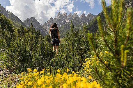 Walking along the fox and bear path in Val Gleris with the majestic Seven Peaks Group in the background, Pontebba Walking along the fox and bear path in Val Gleris with the majestic Seven Peaks Group in the background, Pontebba
