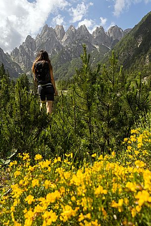 Walking along the fox and bear path in Val Gleris with the majestic Seven Peaks Group in the background, Pontebba Walking along the fox and bear path in Val Gleris with the majestic Seven Peaks Group in the background, Pontebba