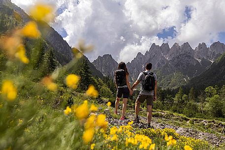 Walking along the fox and bear path in Val Gleris with the majestic Seven Peaks Group in the background, Pontebba Walking along the fox and bear path in Val Gleris with the majestic Seven Peaks Group in the background, Pontebba