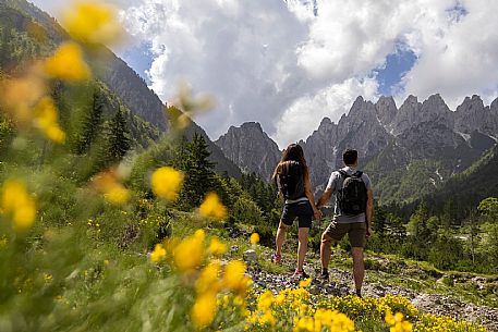 Walking along the fox and bear path in Val Gleris with the majestic Seven Peaks Group in the background, Pontebba Walking along the fox and bear path in Val Gleris with the majestic Seven Peaks Group in the background, Pontebba