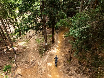 The Angel Bike Park offers a real alternative for those seeking adrenaline and fun, with two routes, Cervo for beginners and Lince, longer, for the more experienced. Tarvisio, Piana dell'Angelo. The Angel Bike Park offers a real alternative for those seeking adrenaline and fun, with two routes, Cervo for beginners and Lince, longer, for the more experienced. Tarvisio, Piana dell'Angelo.