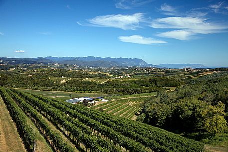 Corno di Rosazzo