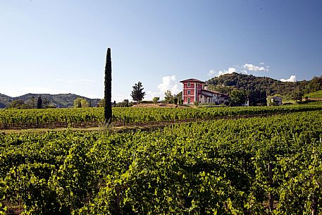 Corno di Rosazzo