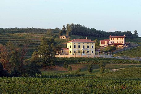 Mario Schiopetto Winery