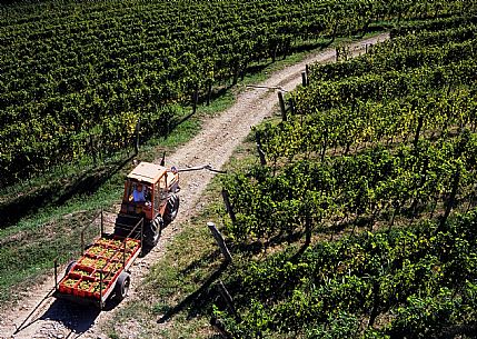 San Floriano del Collio