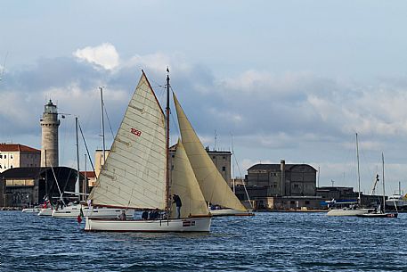 Barcolana Regatta