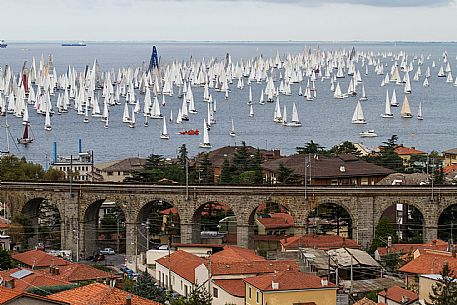 Barcolana Regatta