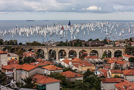 Barcolana Regatta