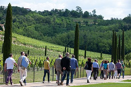 Cantine Aperte