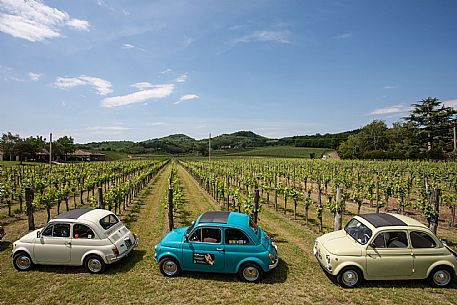 Cantine Aperte