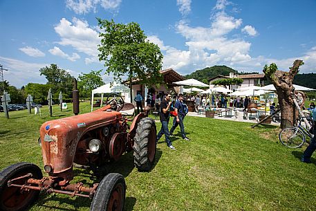 Cantine Aperte