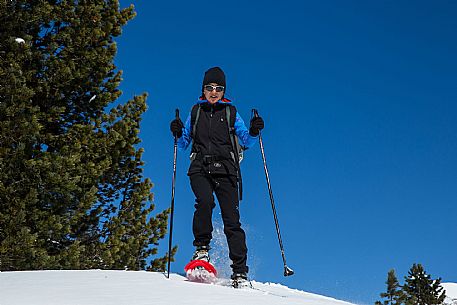 Snowshoenig in FVG