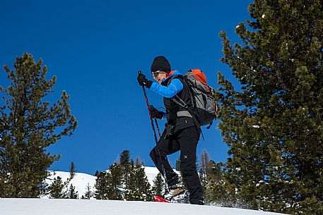 Snowshoenig in FVG